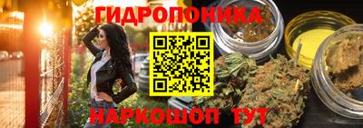 PSILOCYBIN Ипатово