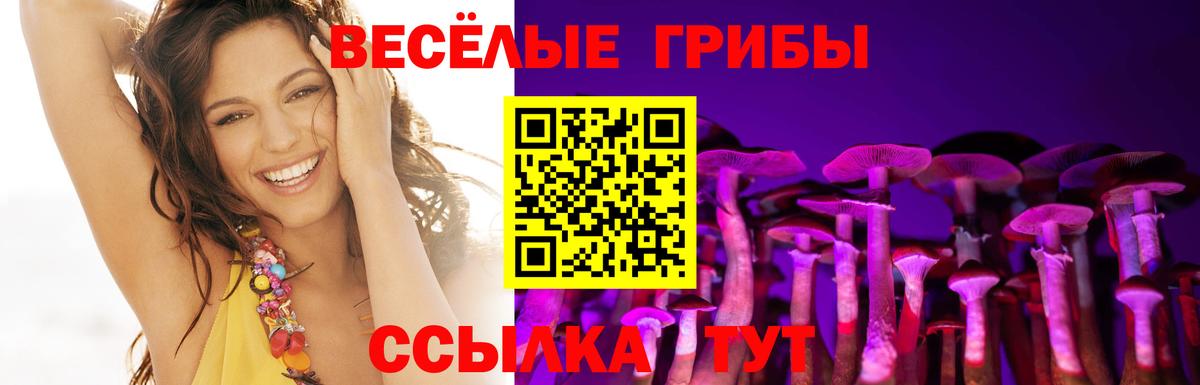 Ливны  Галлюциногенные грибы Magic Shrooms  Вход с VPN 